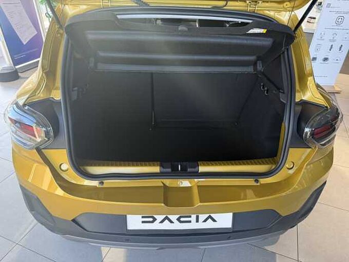 Dacia Sandero Stepway Expression TCe 110 *Kamera*SHZ* 