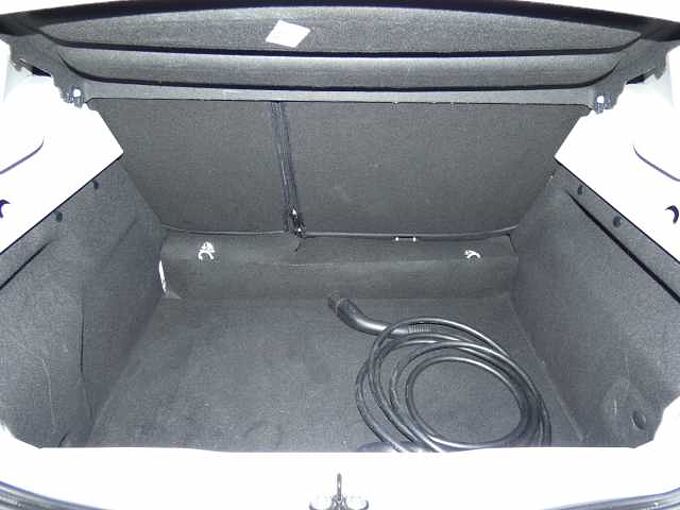 Renault ZOE Batteriekauf R110 Z.E. 50 